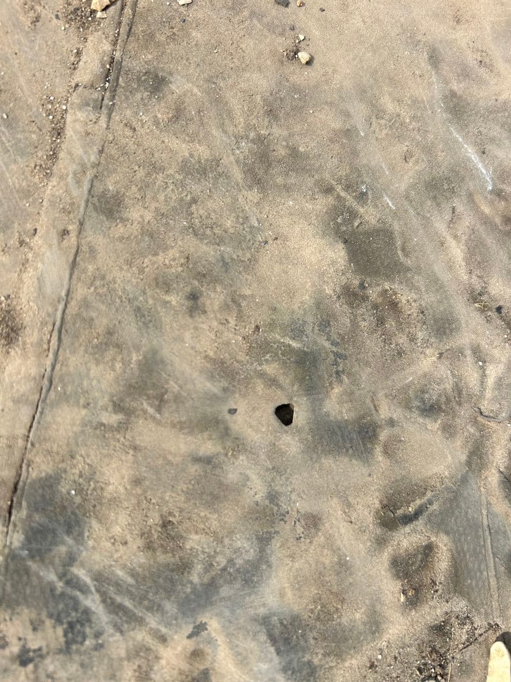 Close-up of a sandy surface with a small hole, showcasing natural textures and patterns.