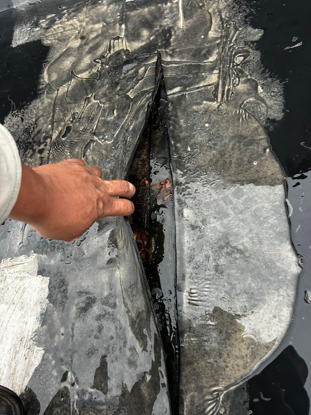 Hand examining a crack in a wet, textured surface, revealing dark water and debris underneath.